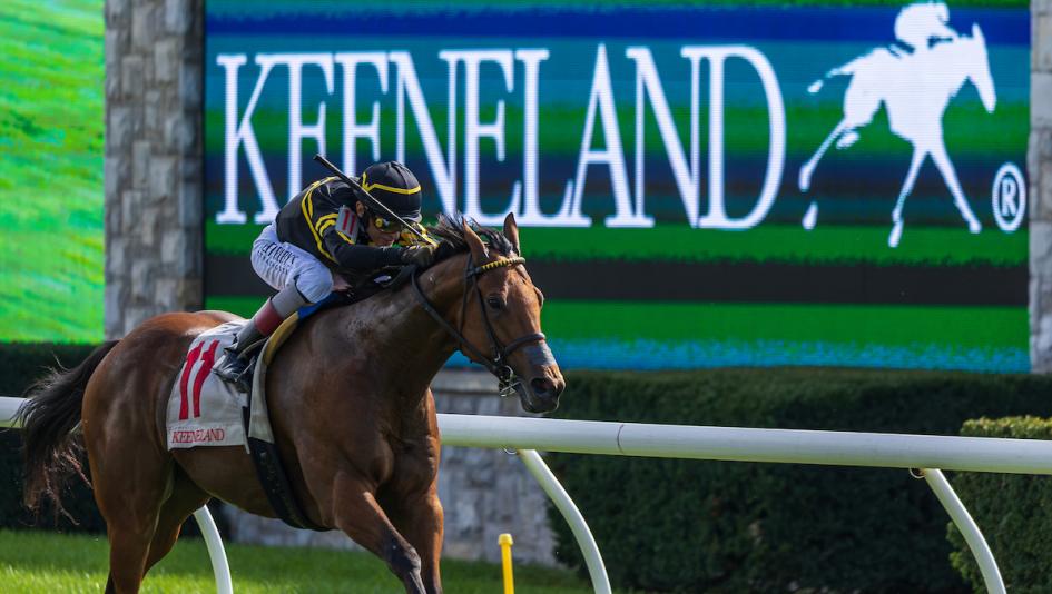 ABR Sunday Selections: Full-Card Picks for Oct. 11 at Keeneland